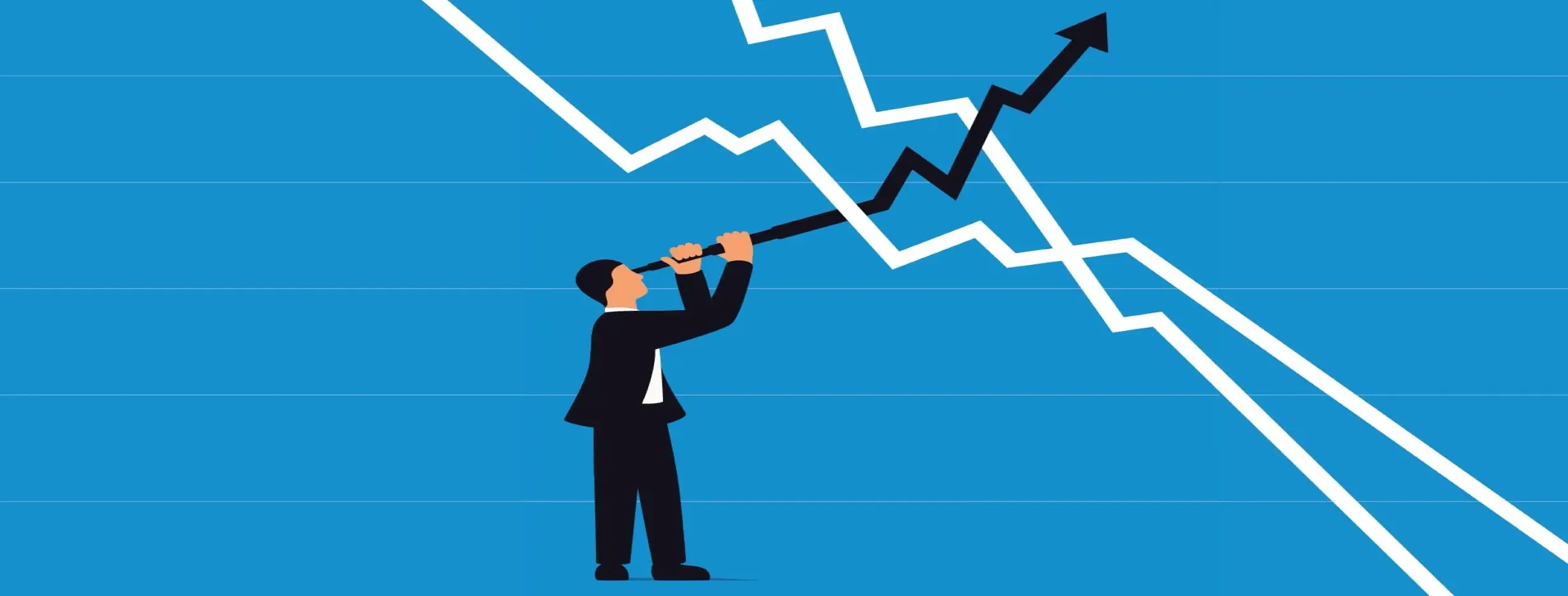 Image for Long Term Growth